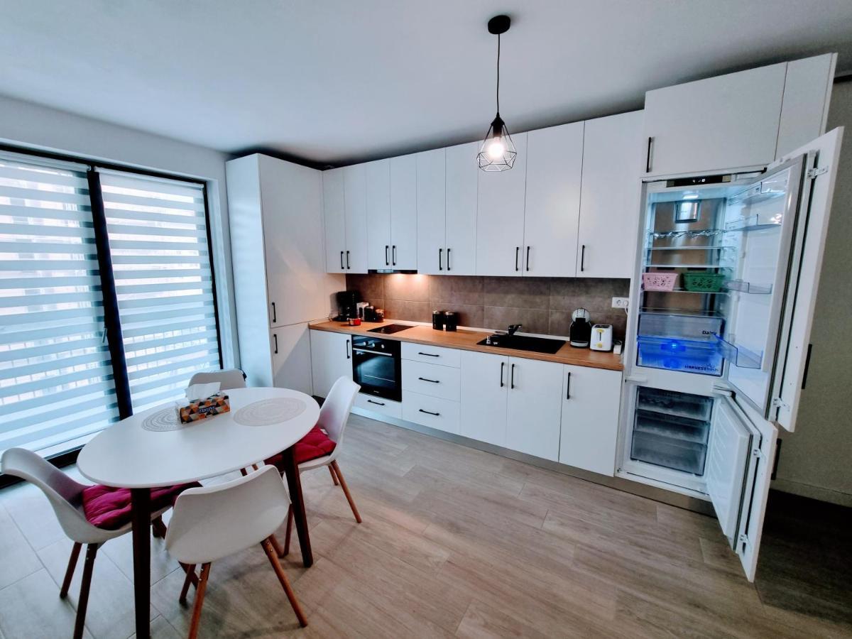 Apartment Ateneo Timisoara